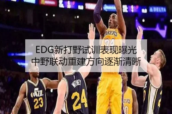 EDG新打野试训表现曝光 中野联动重建方向逐渐清晰