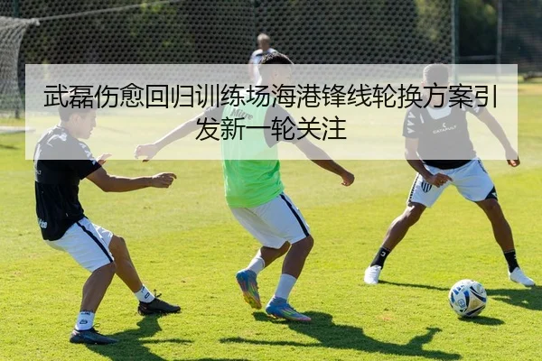 武磊伤愈回归训练场海港锋线轮换方案引发新一轮关注